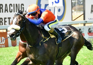 Ultra Quick too fleetfooted