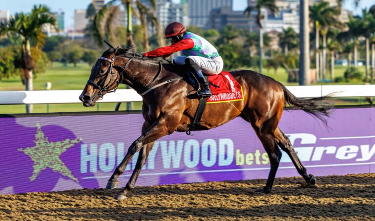 United Nation to shoulder many hopes and dreams