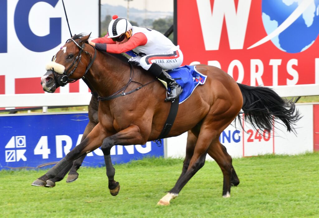 Van Vuuren duo to fight it out