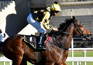 Vaseem on a winning spree