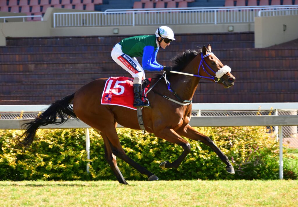 Waiting for the return of Tarry-trained filly