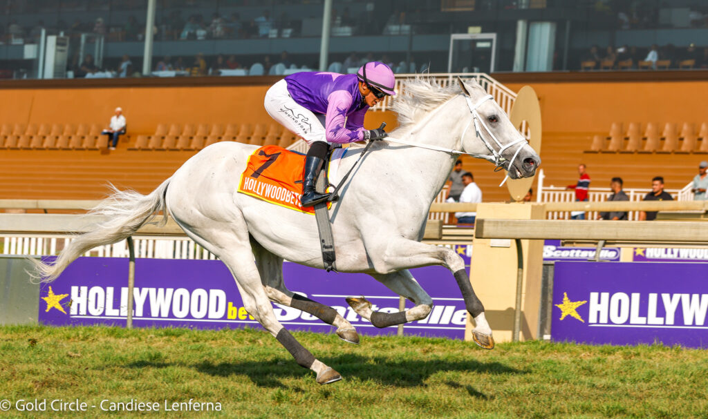 Weights favour After The Rain