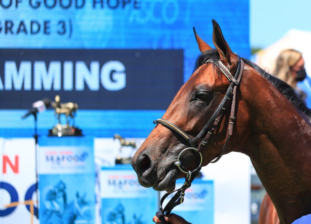 We’re Jamming to play it up in Cape Merchants