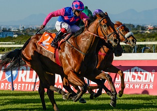 Western Cape raiders to dominate Algoa Cup meeting