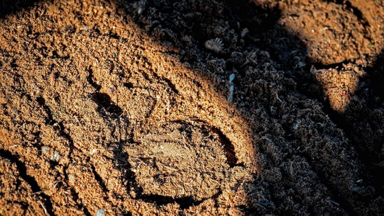 WHAT A MONTH FOR SMITH