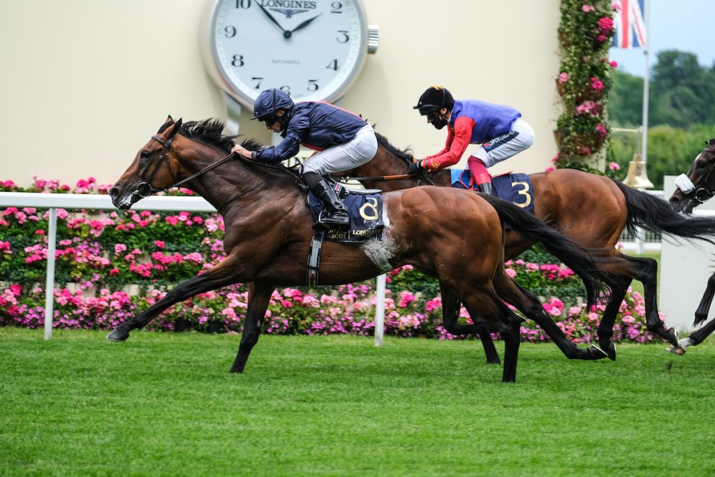 Whyte prays for rain at Sha Tin