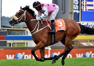 WILGERBOSDRIFT SA FILLIES CLASSIC (GRADE 1) OVER 1800M