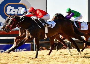 William resumes his love affair with Scottsville