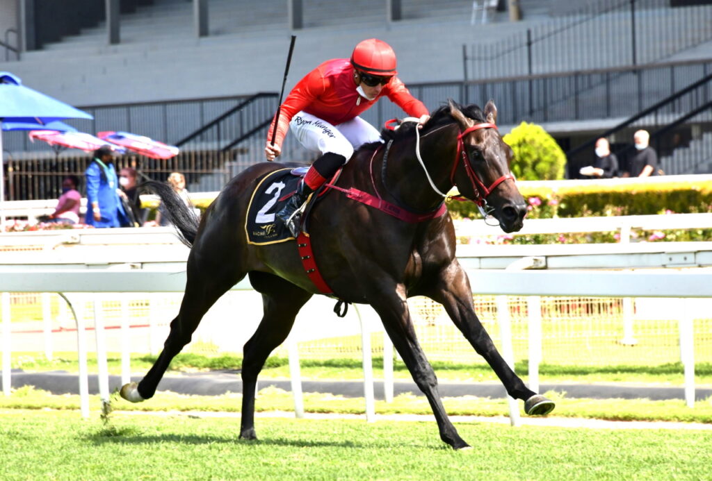 William to conquer Pinnacle Stakes