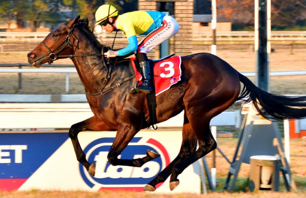 William to show his steel