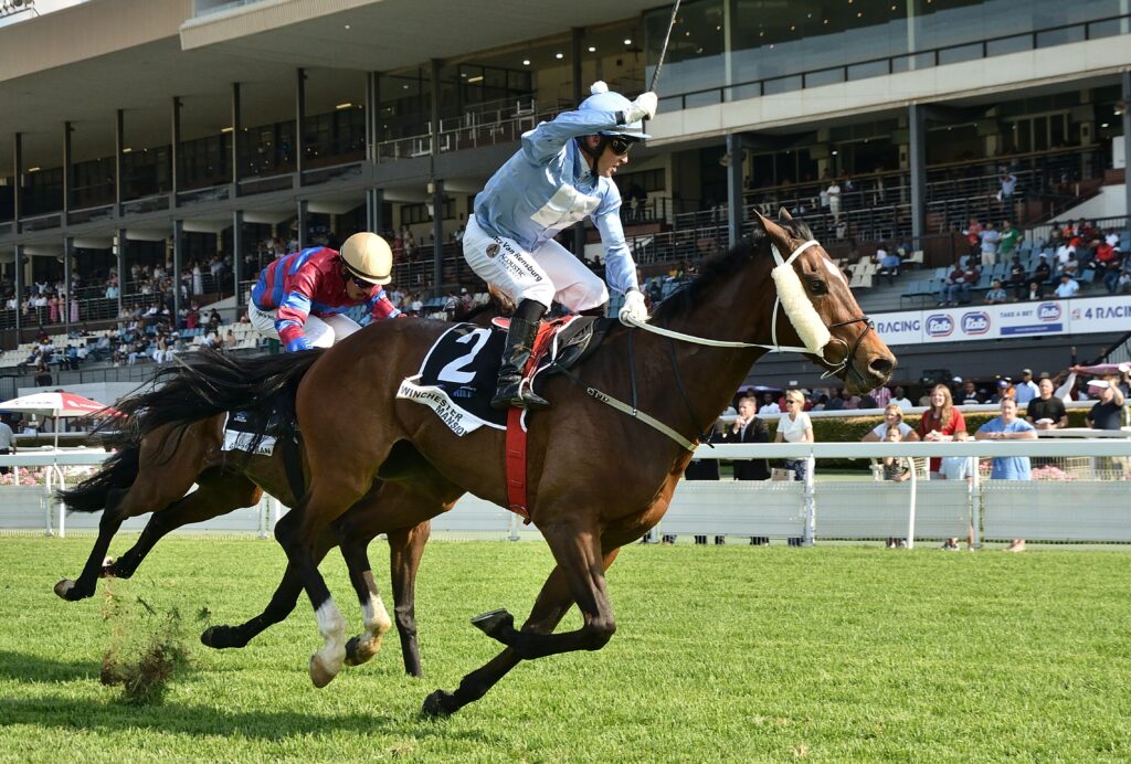 Winchester Mansion back to best