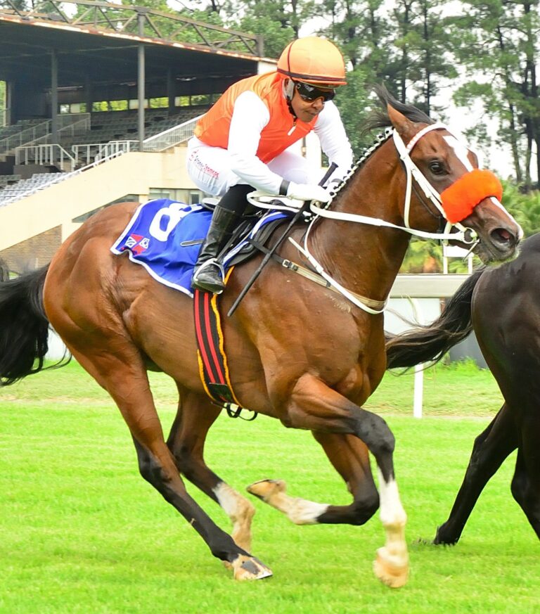 Winds Of Change to blow through Greyville