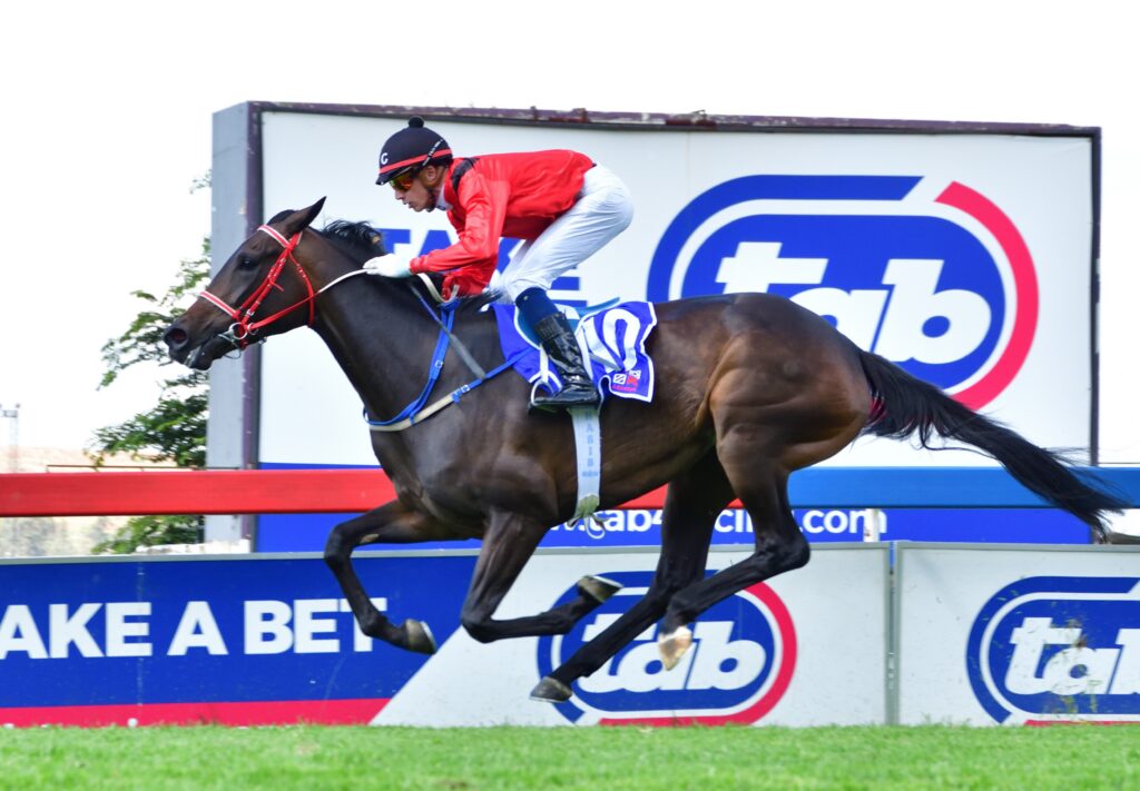 Wings to beat at the Vaal