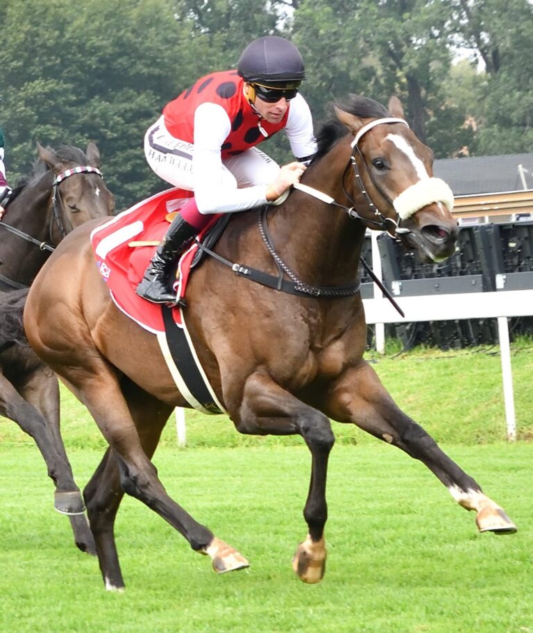 Winner is written in stars