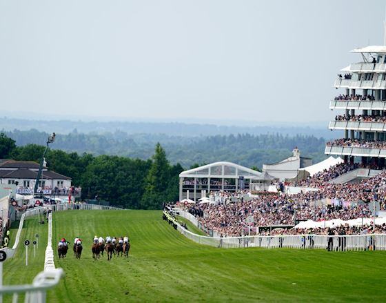 WISDOM THE SMART CHOICE FOR DERBY HONOURS