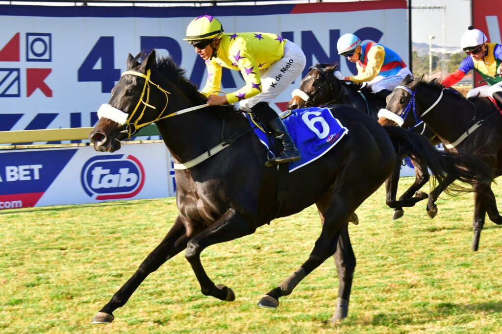 Wokonda looks ready to strike