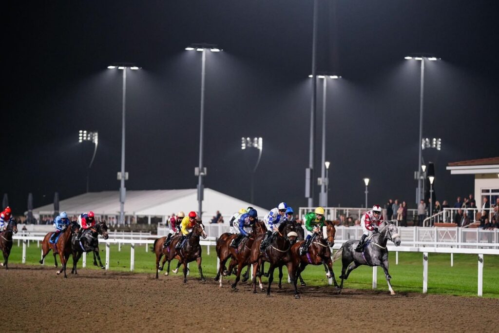 Wonder Smile worth support at Chelmsford