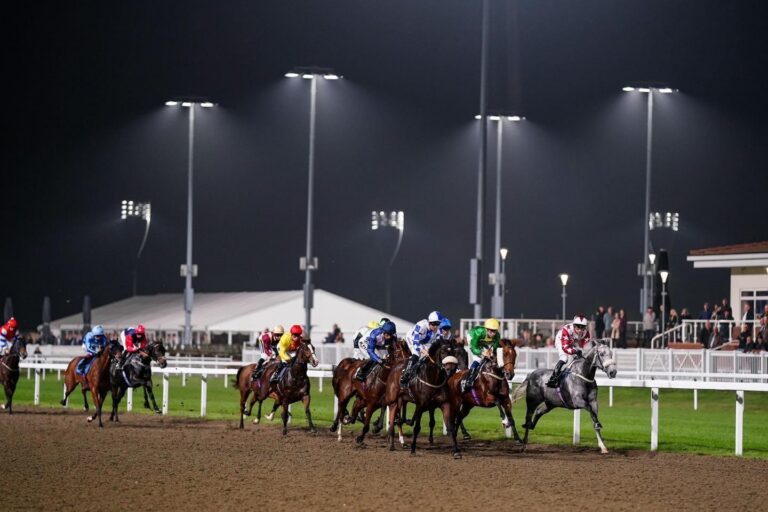 Wonder Smile worth support at Chelmsford