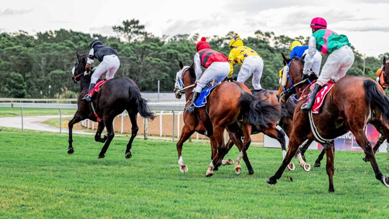 Work Riders in search of title