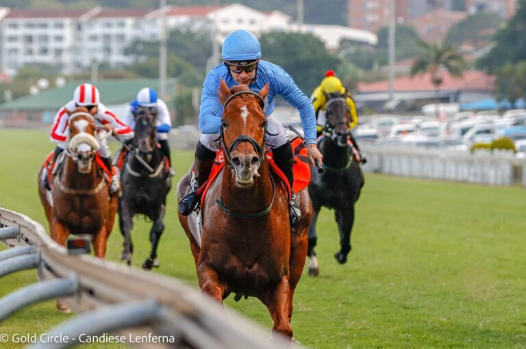 World Sports Betting Cape Fillies Guineas Fields