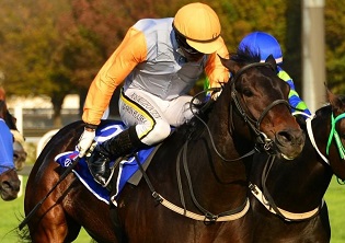 Wulff is on the prowl