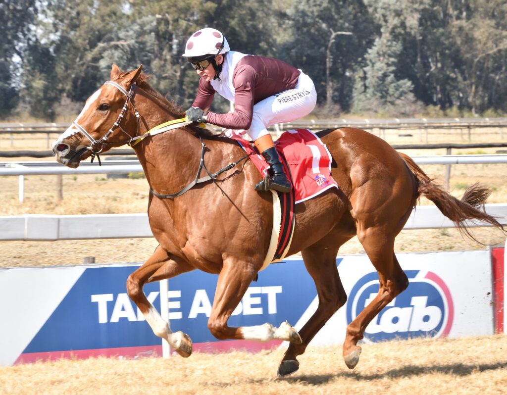 Xenophon expected to win again