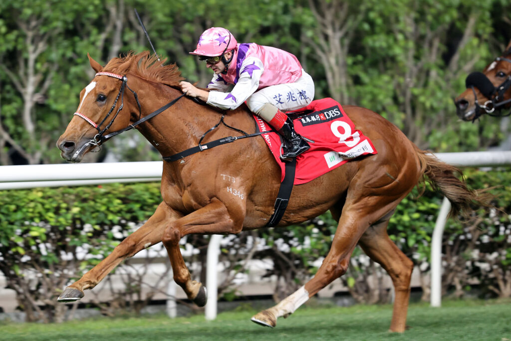 Yiu prepares Simply Maverick for HK Derby