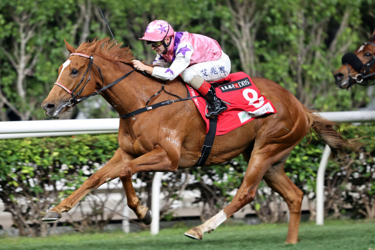 Yiu prepares Simply Maverick for HK Derby