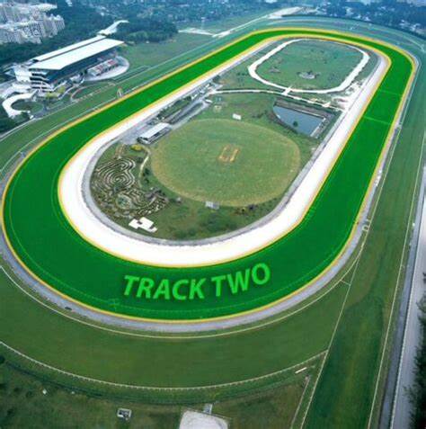 You Think So set for further success