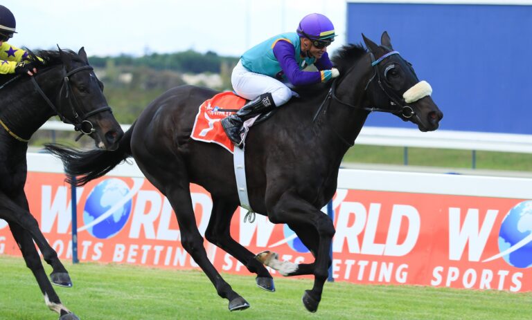 Young Love set for a final fling